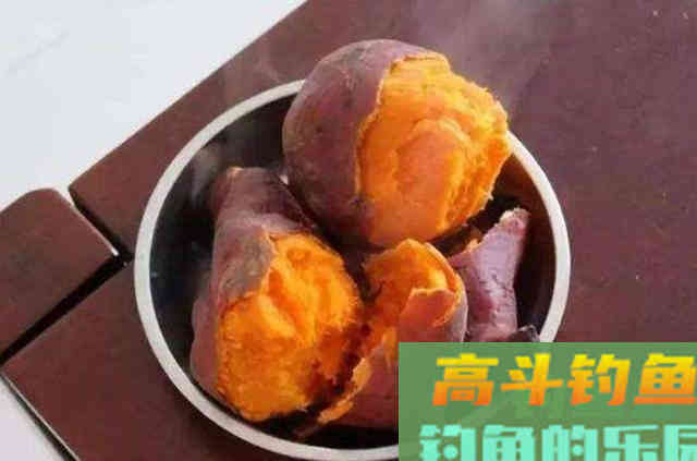 夏天好钓鱼，给大家分享祖传钓鲤鱼的配方