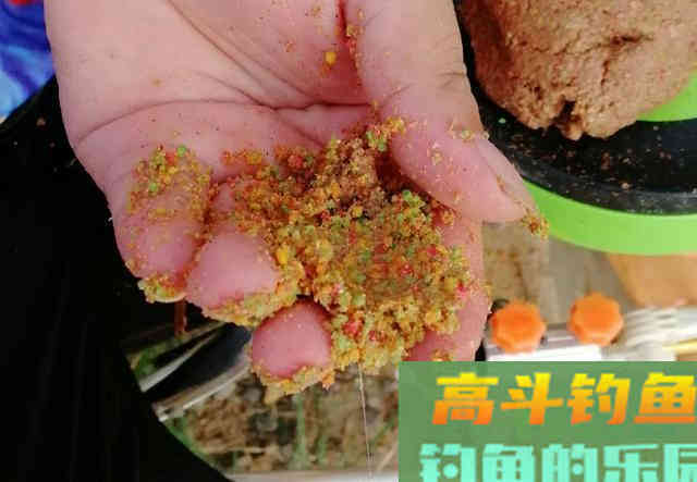 让钓鱼人又爱又恨白条,详解白条钓法及规避方法 让钓鱼人又爱又恨白条,详解白条钓法及规避方法
