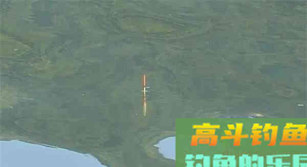 鲢鳙好不好钓？答案：好钓