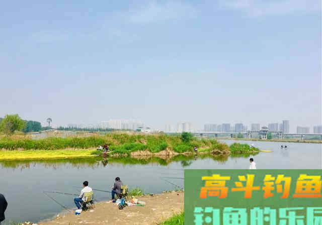 索性将手竿钓鲢鳙之四大要素就此分享 索性将手竿钓鲢鳙之四大要素就此分享