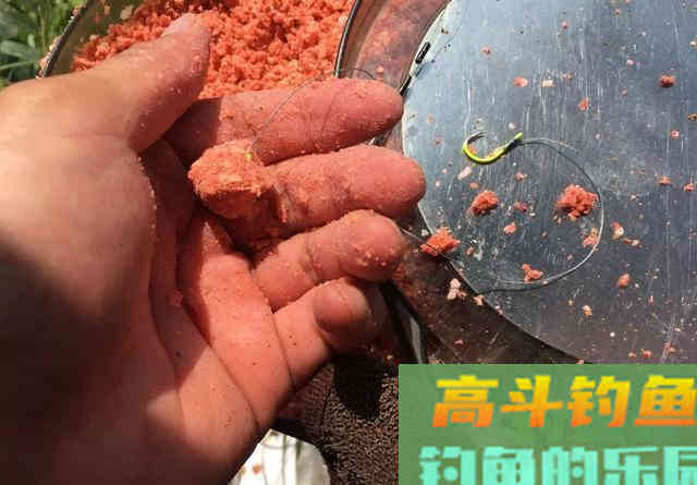 钓鲢鳙打不到正口？那是提竿不及时