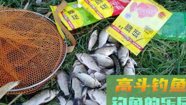 春钓大鲫鱼,这三种用饵方法别错过 春钓大鲫鱼,这三种用饵方法别错过
