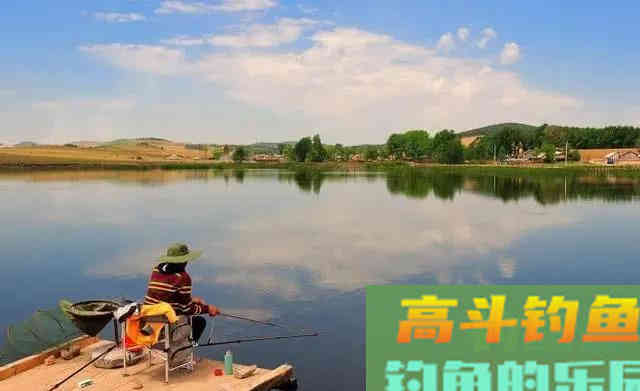 鲢鳙好不好钓？答案：好钓
