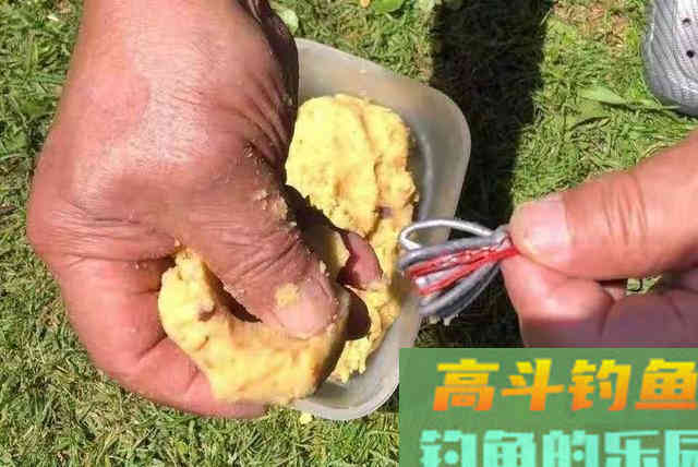 自从知道有这鲤鱼钓法，三天两头想试一次