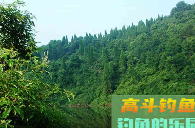 手竿如何垂钓大头鱼,4个方面重点就是饵要轻雾化好 手竿如何垂钓大头鱼,4个方面重点就是饵要轻雾化好