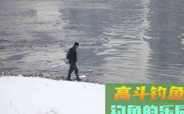 冬季水温低鲫鱼难钓，学会3逗钓技巧野钓鲫鱼