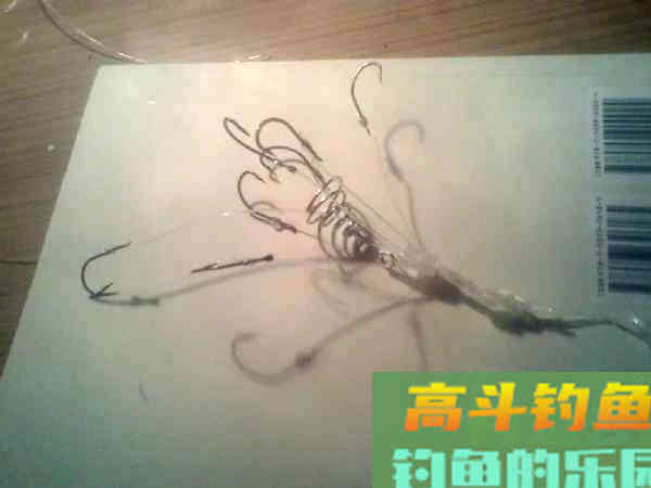 老司机分享多年钓鲢鳙的经验 老司机分享多年钓鲢鳙的经验