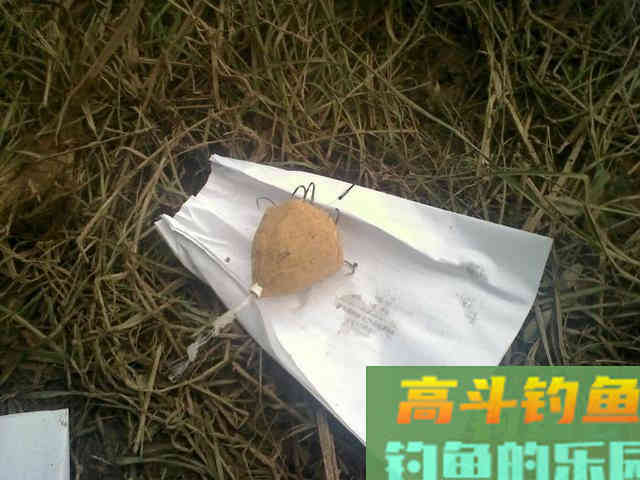 老司机分享多年钓鲢鳙的经验 老司机分享多年钓鲢鳙的经验