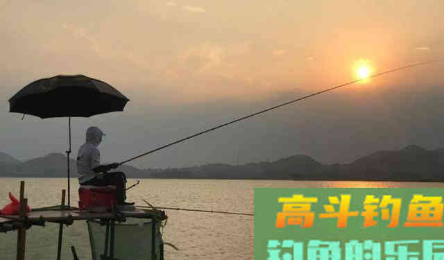 仲春不是只有鲫鱼,掌握方法也能钓到鲤鱼 仲春不是只有鲫鱼,掌握方法也能钓到鲤鱼