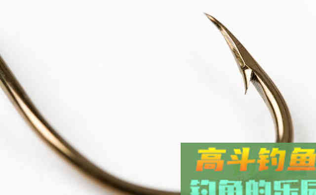 湖库江河中如何用海竿垂钓鲤鱼?谈技巧和装备选择 湖库江河中如何用海竿垂钓鲤鱼?谈技巧和装备选择