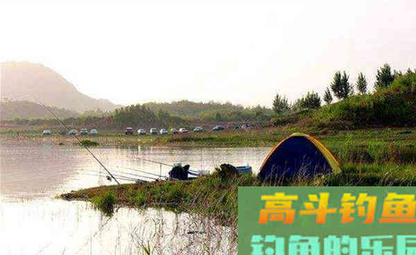 深秋手竿钓草鱼，关键在于用饵对了口，大草鱼也能连竿