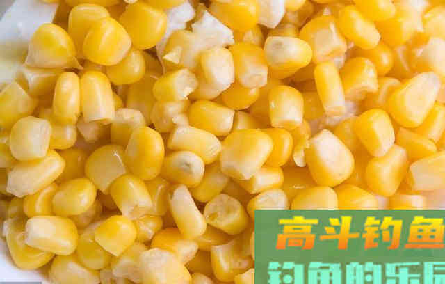 夏季水库这样钓鳊鱼,鱼口根本停不下来 夏季水库这样钓鳊鱼,鱼口根本停不下来
