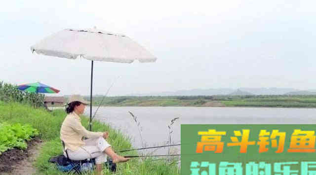 青鱼应分析水中氧含量与鱼情之间的关系,选择作钓位置 青鱼应分析水中氧含量与鱼情之间的关系,选择作钓位置