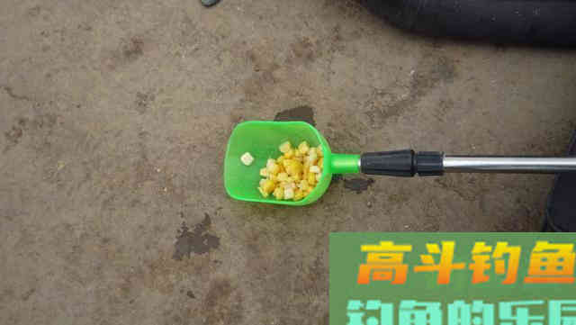 草鱼很贪吃，那么对于钓鱼人来说就好办