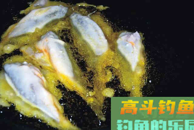 什么是黄鱼？如何垂钓黄鱼的一些技巧