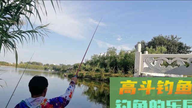 喜欢钓鲫鱼，这样选择鱼竿，让你手感一级棒