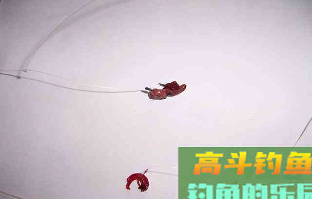 做到这几点,串钩不仅能守大鲫鱼,线组还不会轻易缠绕 做到这几点,串钩不仅能守大鲫鱼,线组还不会轻易缠绕