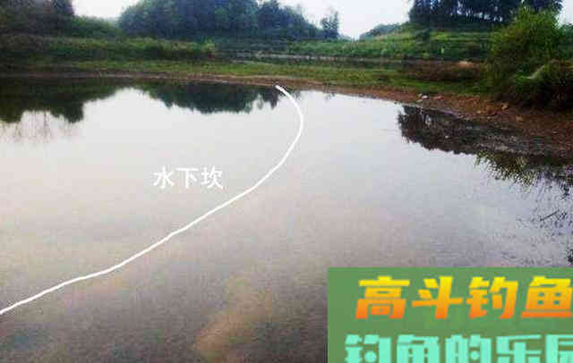 夏季不知如何钓鳊鱼,来看看这些垂钓心得 夏季不知如何钓鳊鱼,来看看这些垂钓心得
