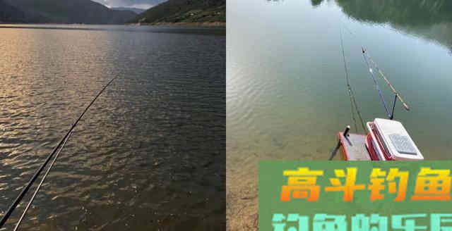 青鱼应分析水中氧含量与鱼情之间的关系,选择作钓位置 青鱼应分析水中氧含量与鱼情之间的关系,选择作钓位置