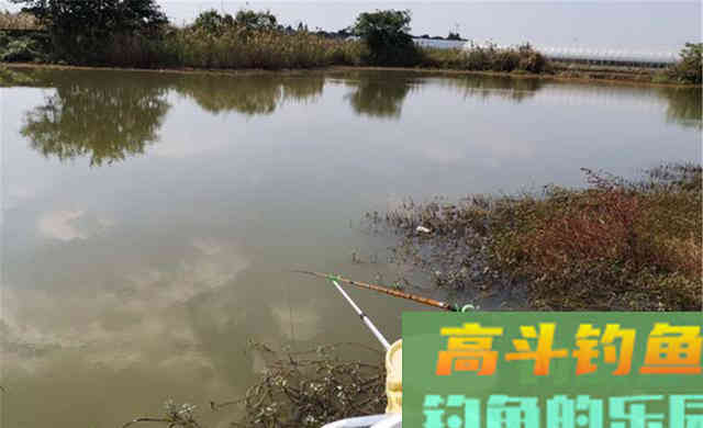 农村野河是主战场，在这4种位置下竿，钓大板鲫更容易