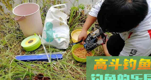 真正的钓鲫鱼高手从来不打窝,都是这样去开饵 真正的钓鲫鱼高手从来不打窝,都是这样去开饵