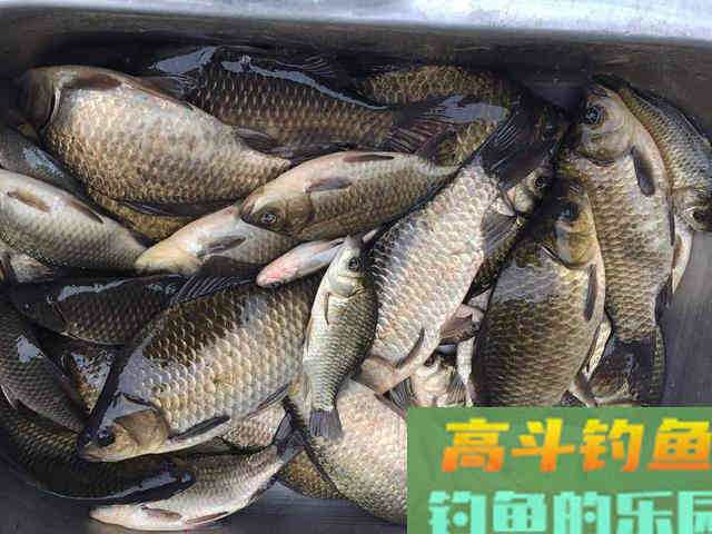 秋季钓鱼，无论别人说得再好，这些钓点都要远离
