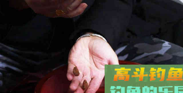 深秋钓鲫鱼，开饵还有这些讲究，一起看看吧
