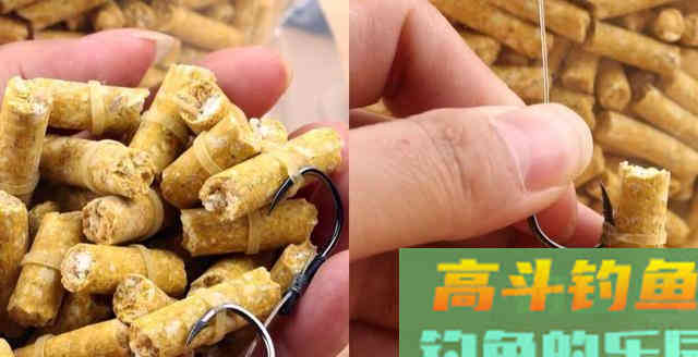 高手详细分析，垂钓青鱼该如何选择饵料