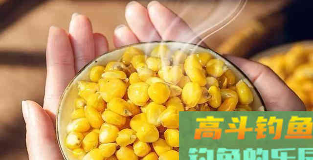 草鱼为何难钓?分析原因从它的生活习性入手 草鱼为何难钓?分析原因从它的生活习性入手