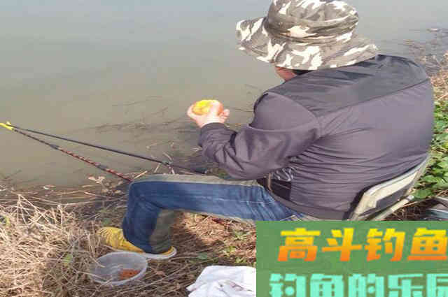 秋末要想钓好鲫鱼，建议你看看这篇文章，助提升渔获