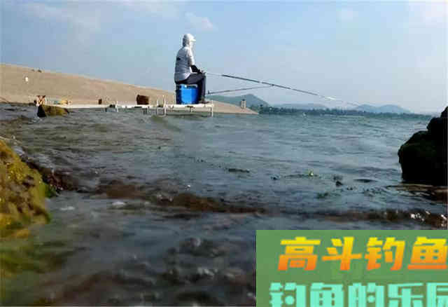 降温好钓鲫鱼？别逗了，做不到这两点