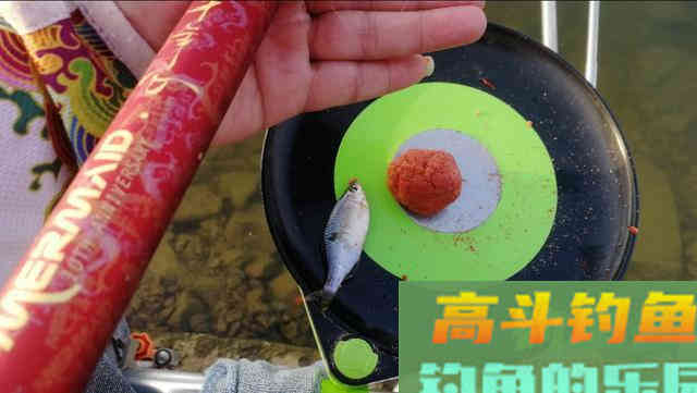 长竿配大漂钓鲫鱼，教你一招以钝钓钝