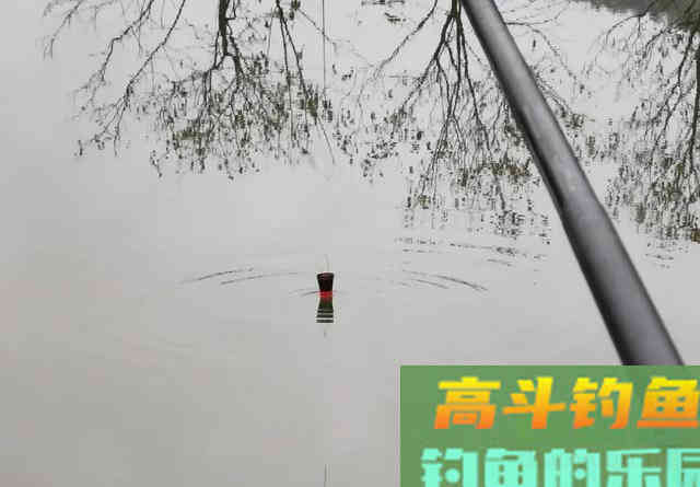 冬季钓鲫鱼的&ldquo;秘密&rdquo;，只用一杆一线一桶
