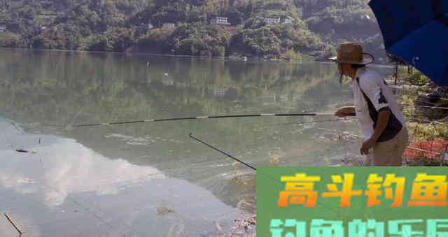 夏季如何垂钓青鱼
