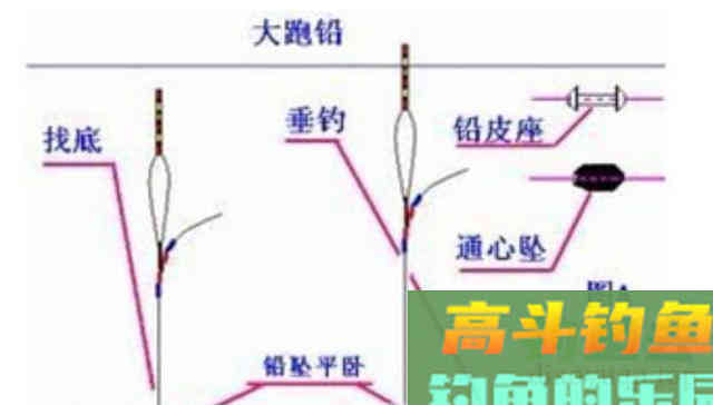 唯一一种鱼没牙齿贵的鱼，青鱼的无奈，四大家鱼中最难的一位