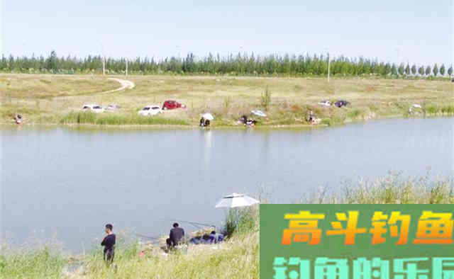 秋天钓鲤鱼,一要凉二要坡、三要等四要稳 秋天钓鲤鱼,一要凉二要坡、三要等四要稳
