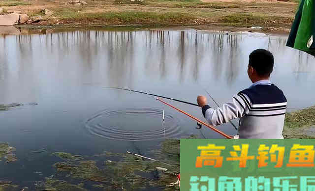 秋末钓鱼,找准这几种天气,钓大鲫鱼不是梦 秋末钓鱼,找准这几种天气,钓大鲫鱼不是梦