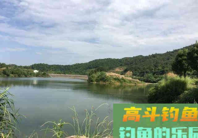 冬天能钓到鲤鱼吗?只是钓位与饵料要讲究 冬天能钓到鲤鱼吗?只是钓位与饵料要讲究