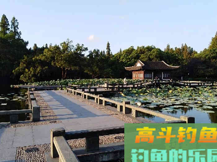 秋冬季钓大鲫鱼的技巧，钓法运用与饵料搭配