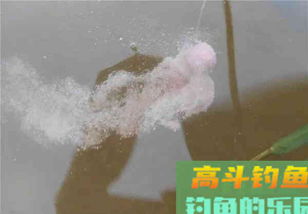 索性将手竿钓鲢鳙之四大要素就此分享 索性将手竿钓鲢鳙之四大要素就此分享