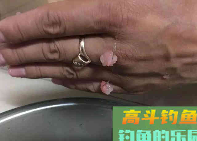冬钓鲫鱼可直接套用的两种饵料用法 冬钓鲫鱼可直接套用的两种饵料用法