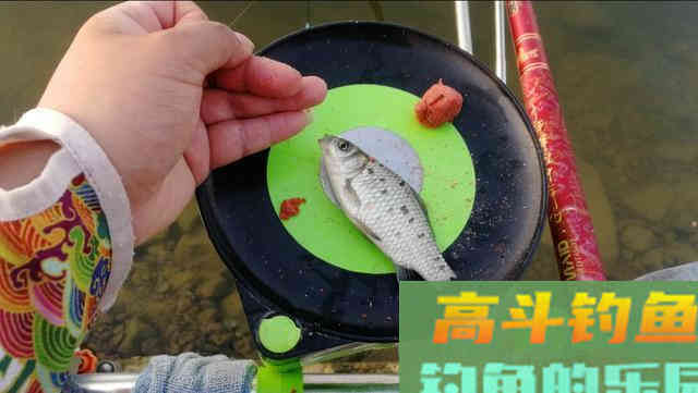 长竿配大漂钓鲫鱼，教你一招以钝钓钝