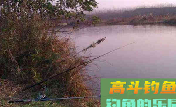 深秋初冬鲫鱼难钓？试试这一招，更容易钓到大板鲫