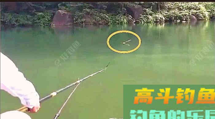 野钓策（18）&mdash;&mdash;野钓鲫鱼提竿的若干问题