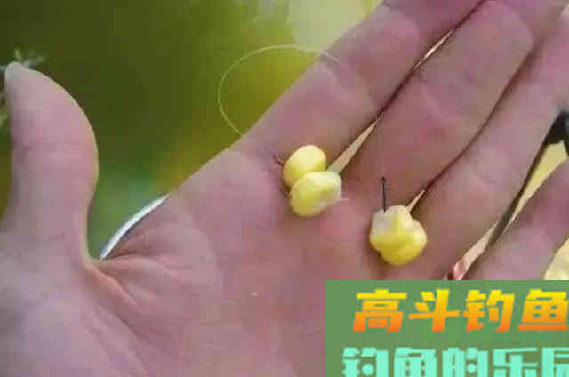 户外野钓时，征服鲤鱼必须要学会的3大技巧