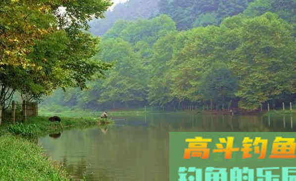 秋季钓鲫鱼的这种方法,效果一点也不含糊 秋季钓鲫鱼的这种方法,效果一点也不含糊
