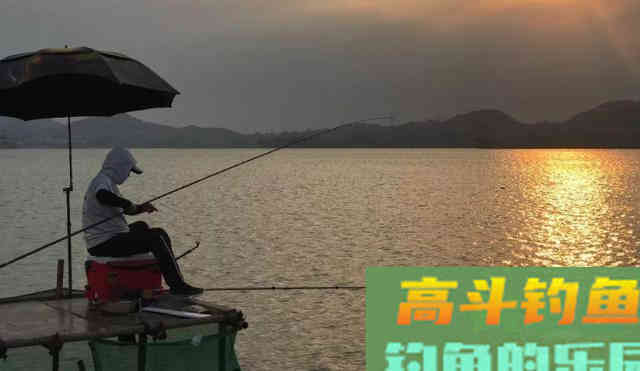 初夏鲫鱼不好钓，那是因为你没找对方法