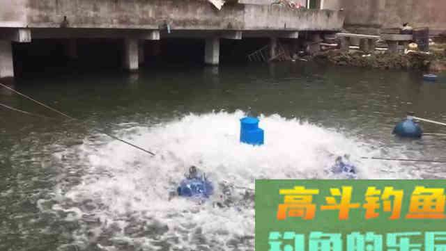 深入了解水深对鱼情的影响，详细释义它们间的关系