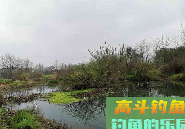 春季的鲶鱼怎么钓?掌握它的习性,才能快速地找到并钓获 春季的鲶鱼怎么钓?掌握它的习性,才能快速地找到并钓获