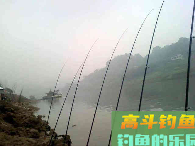 想要收获大鲶鱼,就要了解鲶鱼的生活习性 想要收获大鲶鱼,就要了解鲶鱼的生活习性